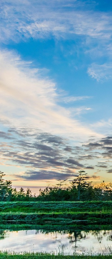 everglades sunset landscape